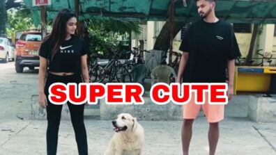 Oh So Cute: Cricketer Shreyas Iyer’s dog has a priceless reaction when they play a game with her