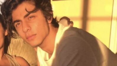 OMG! Aryan Khan Isn’t Allowed To Be Shirtless At Home, Shah Rukh Khan Reveals The Reason