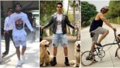 Pair Your Shorts Like The B-Town Stars: From Shahid Kapoor To Varun Dhawan
