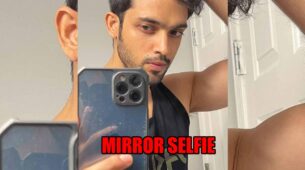 Parth Samthaan sets internet on fire with latest mirror selfie, fans go bananas