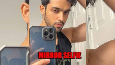 Parth Samthaan sets internet on fire with latest mirror selfie, fans go bananas