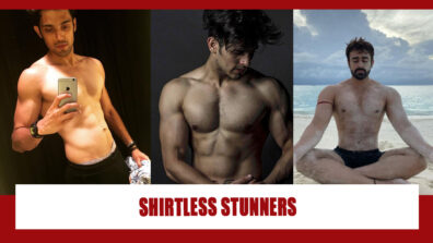 Pearl V Puri VS Parth Samthaan VS Priyank Sharma: Hottest Star In Shirtless Looks?