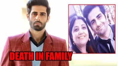 RIP: Ishq Mein Marjawan actor Rrahul Sudhir’s mother passes away due to Covid-19 complications