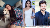 Sanaya Irani shares ‘pawsome’ moment with pet dog, Drashti Dhami & Nakuul Mehta love it