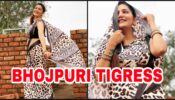 Sapna Choudhary Shares Fashionable Avatar In Tiger Print Saree And We Can’t Keep Calm