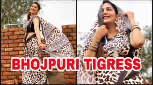 Sapna Choudhary Shares Fashionable Avatar In Tiger Print Saree And We Can’t Keep Calm