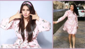 Shehnaaz Gill Vs Himanshi Khurana: Who Looks Pretty in Pink Floral Outfit? Vote Here