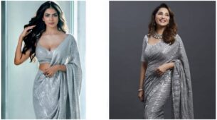 Shine In Glitter: Madhuri Dixit Vs Malavika Mohanan: Which Gorgeous Lady Looks Magnificent In Silver Glitter Saree?