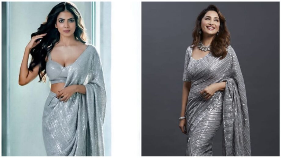 Shine In Glitter: Madhuri Dixit Vs Malavika Mohanan: Which Gorgeous Lady Looks Magnificent In Silver Glitter Saree? 394836