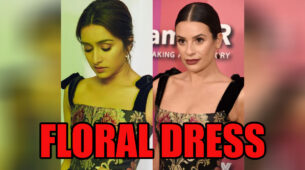 Shraddha Kapoor Vs Lea Michele: Which Diva Deserves A 10/10 In Reem Acra Dress?