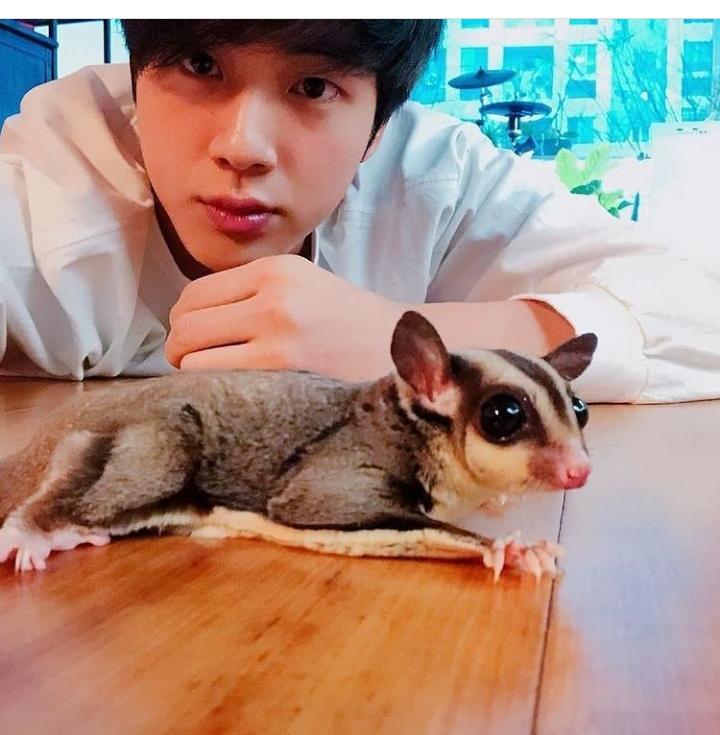 Sneak Peek- Which BTS Members Have Pets? From Kim Taehyung, Suga To RM - 1