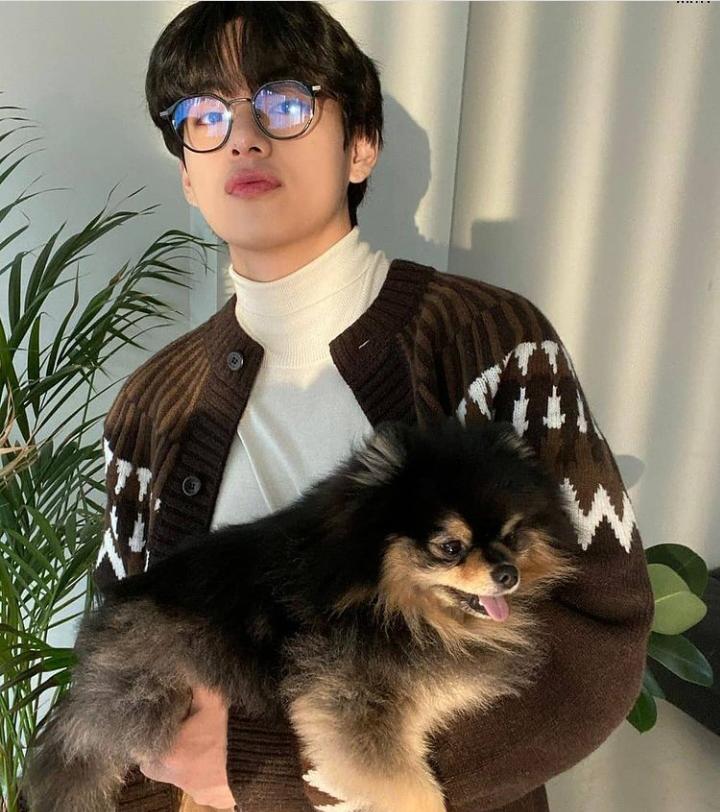 Sneak Peek- Which BTS Members Have Pets? From Kim Taehyung, Suga To RM - 4