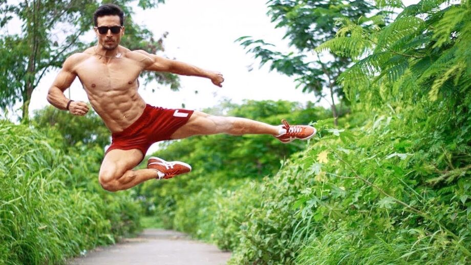 Stunner In True Sense: Tiger Shroff’s Deadly Stunts Of All Times - 2