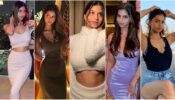 Suhana Khan Is Getting Steaming Hot Every Passing Day And These Pictures Are A Proof