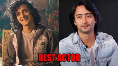 Sumedh Mudgalkar Vs Shaheer Sheikh: Who Deserves A 10/10 On Their Acting Skills?