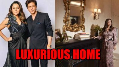 Take An Inside Tour Of Shah Rukh Khan and Gauri Khan’s Amazing Luxurious Home In Delhi