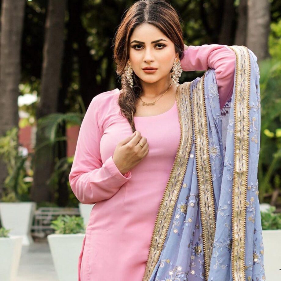 Take Cues From Shehnaaz Gill To Style Your Dupatta In The Most Versatile Ways - 3