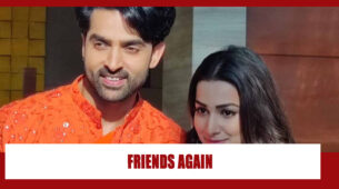 Teri Meri Ikk Jindri Spoiler Alert: Mahi and Jogi to become friends again?