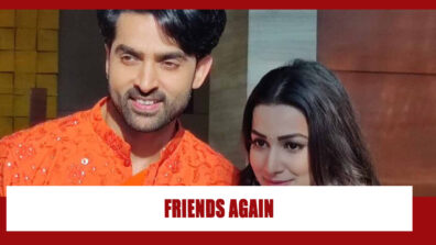 Teri Meri Ikk Jindri Spoiler Alert: Mahi and Jogi to become friends again?