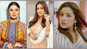 Punjab Ki Katrina! From High Bun To Curly Tales: 5 Hairstyles Of Shehnaaz Gill That Are Worth Bookmarking
