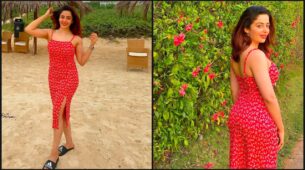 Nehha Pendse Left Netizens Lovestruck As She Shared Pictures Wearing A Floral Dress, What A Beauty! Yay Or Nay?