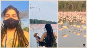 TMKOC diva Nidhi Bhanushali aka Sonu’s flamingo moment in nature, checkout unseen video