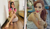 TMKOC divas Palak Sindhwani & Sunayana Fozdar burn the oomph game with their latest photos, fans feel the heat