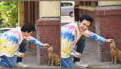 TMKOC hottie Raj Anadkat’s ‘meow meow’ moment caught on camera