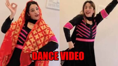 Viral video: Shehnaaz Gill’s dance on Punjabi song is the best thing on internet today