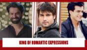 Vivian Dsena VS Barun Sobti VS Mohsin Khan: The King Of Romantic Expressions?