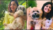 Woofy: These Pictures Of Nehha Pendse And Abhindya Bhave With Their Doggies Are Pure Cuteness: Have A Look Here