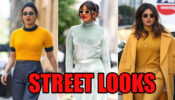7 Times Priyanka Chopra Went Out On The Streets And Netizens Couldn’t Handle The Hotness