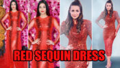 Aishwarya Rai Vs Malaika Arora: Divas Who Slew The Red Shining Dress