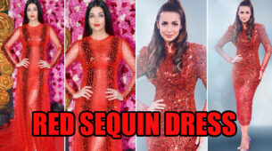 Aishwarya Rai Vs Malaika Arora: Divas Who Slew The Red Shining Dress