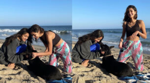 Ananya Panday & dogs, the ‘perfect beach love story’