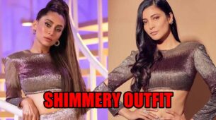 Shruti Hassan Vs Anusha Dandekar: Who Deserves 10/10 In A Shimmery Outfit?