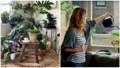 Are You A Plant Parent? Tips On How To Keep Your Indoor Plants Alive