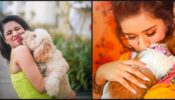 Avneet Kaur With Her Fur Friends Is The Best Sight To Behold: Yay Or Nay?