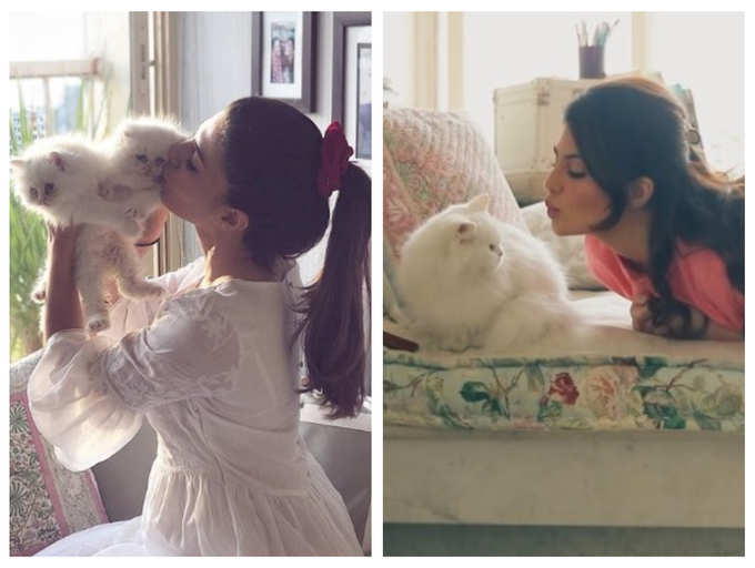 B-Town Celebs Who Are Pet Parents: From Disha Patani To Jacqueline Fernandez - 2