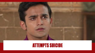 Barrister Babu Spoiler Alert: Shocking!! Anirudh attempts suicide by drowning