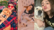 Best Pawsome Moments: Ashnoor Kaur, Tamannaah Bhatia, & Dhvani Bhanushali’s cutest ‘doggo moments’ to fall in love with