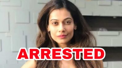 Big News: ’36 China Town’ actress Payal Rohatgi arrested by Police, read details