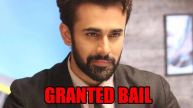 Big News: Pearl V Puri granted bail in alleged rape and molestation case