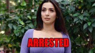 Bigg Boss Marathi contestant Heena Panchal arrested after Nashik police raids rave party, to be produced in court