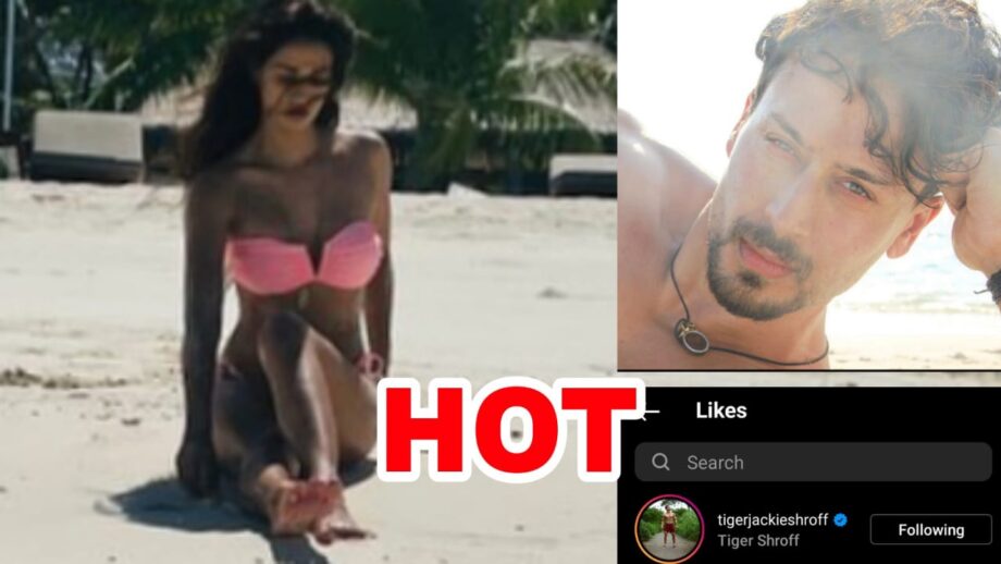 Birthday Special: Disha Patani sets internet on fire with smoking hot bikini photo, Tiger Shroff is impressed 409420