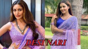 Desi Nari: Times When Chhavi Pandey & Surbhi Chandna Wore Alike Sarees