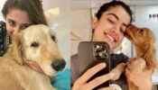 Dhvani Bhanushali & Rashmika Mandanna’s ‘dog love’ chemistry will make you go aww