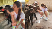 Disha Patani is an animal lover in real life, gets a kiss on her cheeks from a baby calf