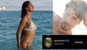 Disha Patani’s latest super hot white bikini look makes rumoured boyfriend Tiger Shroff feel the heat