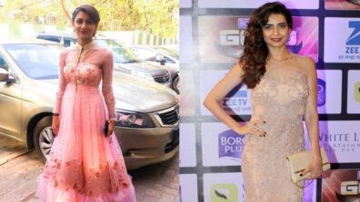 Fairy Tale Vibes: Times when TV celebs dressed like princesses: From Sriti Jha to Karishma Tanna